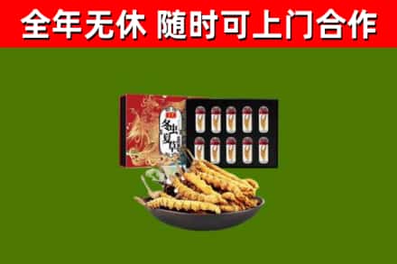 花莲县回收冬虫夏草价格